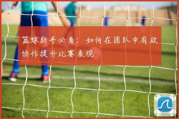 篮球新手必看：如何在团队中有效协作提升比赛表现