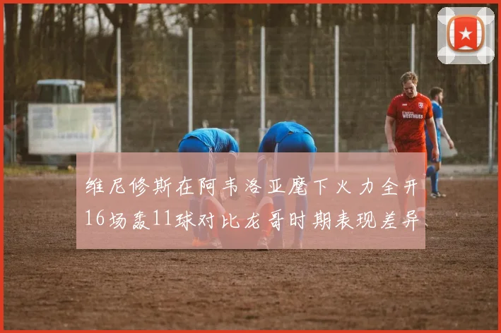 维尼修斯在阿韦洛亚麾下火力全开16场轰11球对比龙哥时期表现差异明显