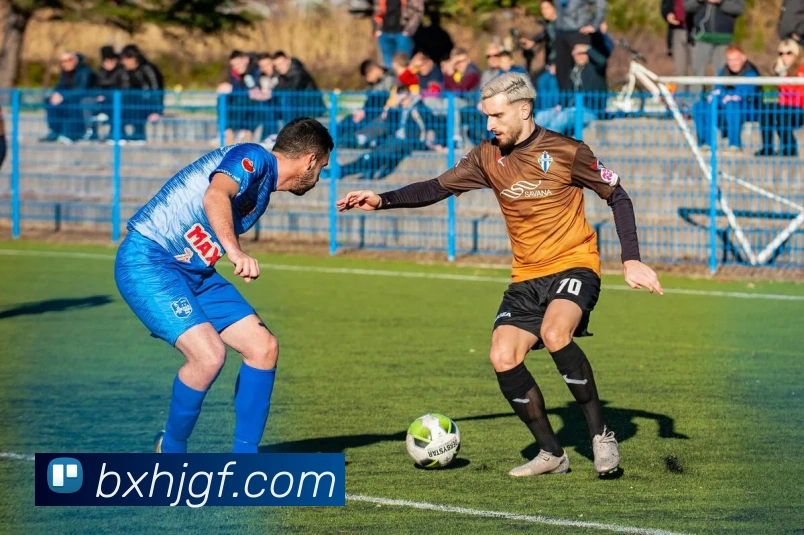 华体会平台生态图